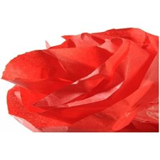 CANSON Seidenpapier rot Maße: 0,5 x 5,0 m 20 g/qm