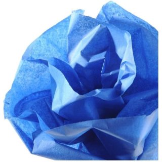 CANSON Seidenpapier blau Maße: 0,5 x 5,0 m 20 g/qm