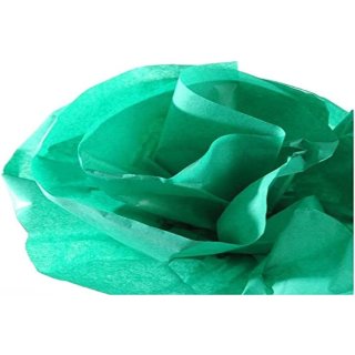 CANSON Seidenpapier grün Maße: 0,5 x 5,0 m 20 g/qm