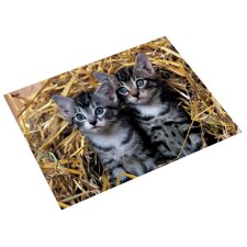 Läufer Schreibunterlage Katzen im Stroh 400 x 530 mm