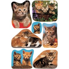 HERMA Sticker DECOR "Katzenfotos" 3 Blatt...