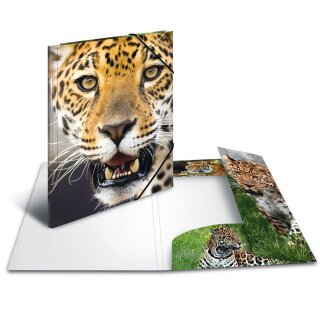 HERMA Eckspannermappe "Leopard" aus PP DIN A4