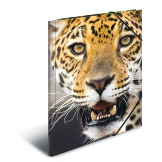 HERMA Eckspannermappe "Leopard" aus PP DIN A3