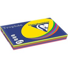 Clairefontaine Multifunktionspapier Trophée A4...