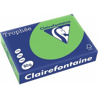 Clairefontaine Multifunktionspapier Trophée A4 80 g/qm maigrün 500 Blatt