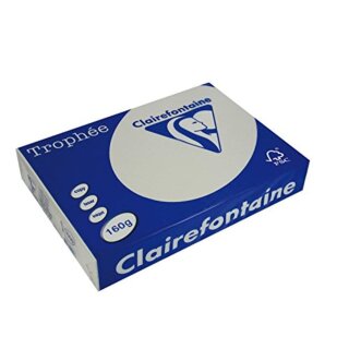 Clairefontaine Multifunktionspapier Trophée A4 160 g/qm stahlgrau 250 Blatt
