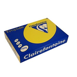 Clairalfa Multifunktionspapier Trophée A4 160 g/qm sonnenblumengelb 250 Blatt