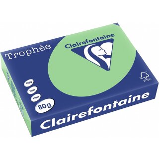 Clairefontaine Multifunktionspapier Trophée A4 80 g naturgrün 500 Blatt