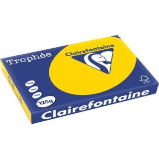 Clairalfa Universal Papier Trophée A4 120 g/qm goldgelb 250 Blatt