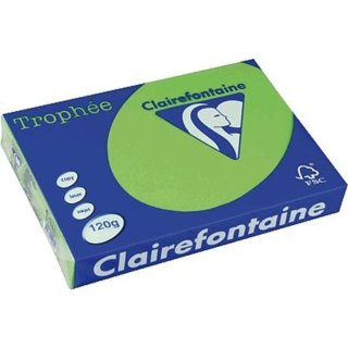 Clairalfa Universal Papier Trophée A4 120 g/qm maigrün 250 Blatt