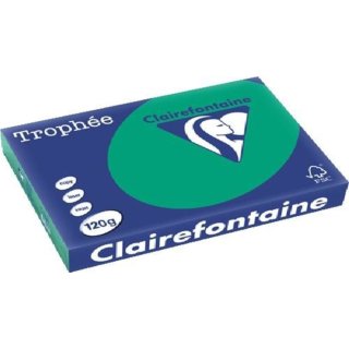 Clairalfa Universal Papier Trophée A4 120 g/qm tannengrün 250 Blatt