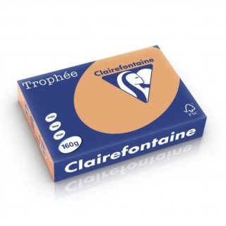Clairalfa Multifunktionspapier Trophée A4 160 g/qm camel 250 Blatt