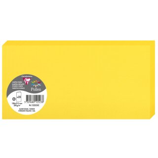 Pollen by Clairefontaine Doppelkarte DIN Lang sonne 25 Karten