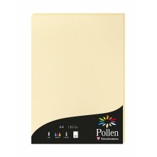 Pollen by Clairefontaine Papier DIN A4 120 g/qm chamois...