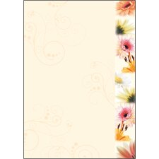 sigel Design Papier DIN A4 90 g/qm Motiv...