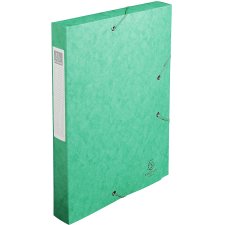 EXACOMPTA Sammelbox Cartobox DIN A4 40 mm grün