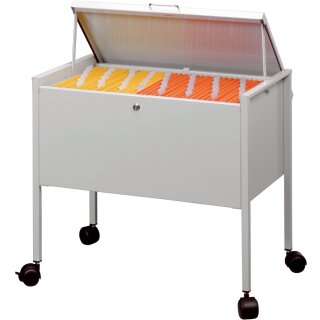 DURABLE Hängemappen Wagen "Economy 80 Top" grau