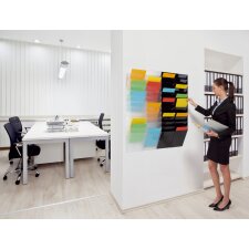 DURABLE Wand Prospekthalter Set "FLEXIBOXX 12" A4 schwarz