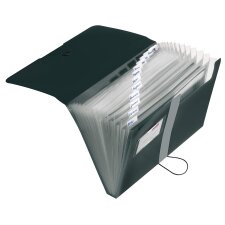 Herlitz Fächermappe easy orga to go 12 Fächer...
