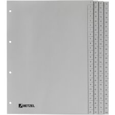 HETZEL Kunststoff Register Zahlen A4 1-100 PP grau