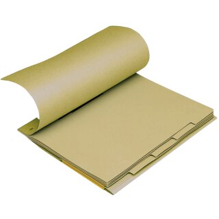 ELBA Mehrfach Pendelhefter DIN A4 Natronkarton 320 g/qm (Preis pro Stück)