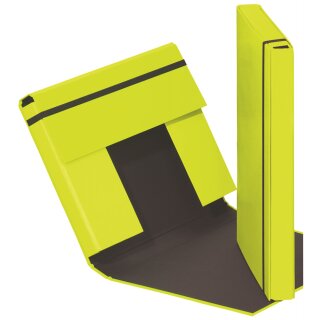 PAGNA Heftbox "Trend Colours" DIN A4 lindgrün