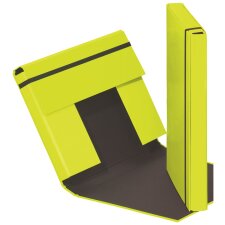 PAGNA Heftbox "Trend Colours" DIN A4 lindgrün