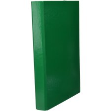 PAGNA Heftbox "Basic Colours" DIN A4 grün