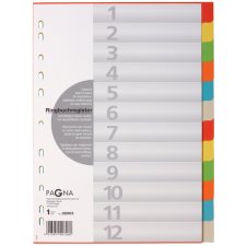 PAGNA Karton Register DIN A4 12-teilig 12 farbig