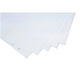 magnetoplan Flipchart Block Format: 650 x 980 mm gerollt 5 Blöcke á 20 Blatt