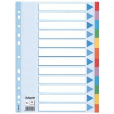 Esselte Karton Register blanko A4 12-teilig mehrfarbig
