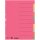LEITZ Karton Register extrastark blanko A4 10-teilig
