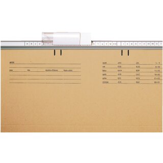 LEITZ Vollsichtreiter Kunststoff (B)60 mm transparent