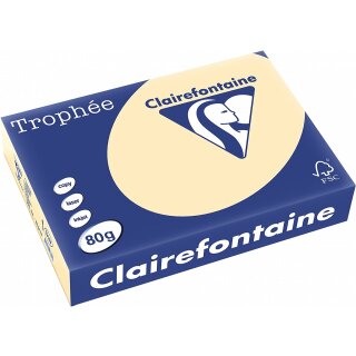 Clairefontaine Multifunktionspapier Trophée A4 80 g/qm chamois 500 Blatt