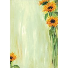 sigel Design Papier DIN A4 90 g/qm Motiv...