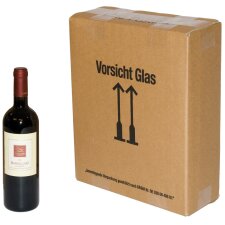 smartboxpro Flaschen Versandkarton für 2 Flaschen...