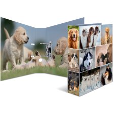 HERMA Motivordner "Animals" DIN A4 Hunde