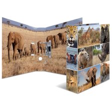 HERMA Motivordner "Animals" DIN A4 Afrika Tiere