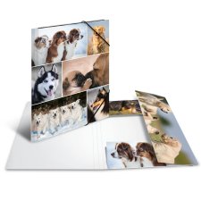 HERMA Eckspannermappe "Hunde" aus Karton DIN A4
