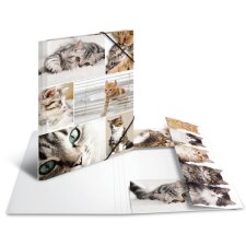 HERMA Eckspannermappe "Katzen" aus Karton DIN A3