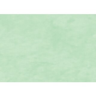 Clairefontaine Geschenkpapier "Kraft" auf Rolle knospengrün (B)700 mm x (L)3,0 m