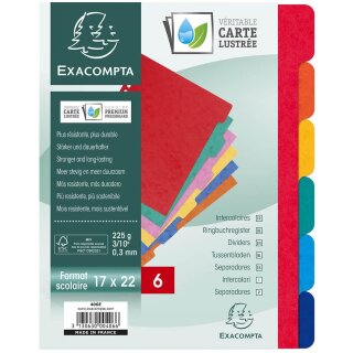 EXACOMPTA Karton-Register 220 x 170 mm 6-teilig