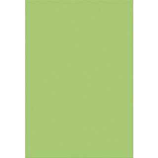 folia Moosgummi (B)290 x (H)400 mm hellgrün 2 mm 5 Stück