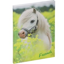 PAGNA Freundebuch "Kleines Pony" 120 g/qm 60 Blatt
