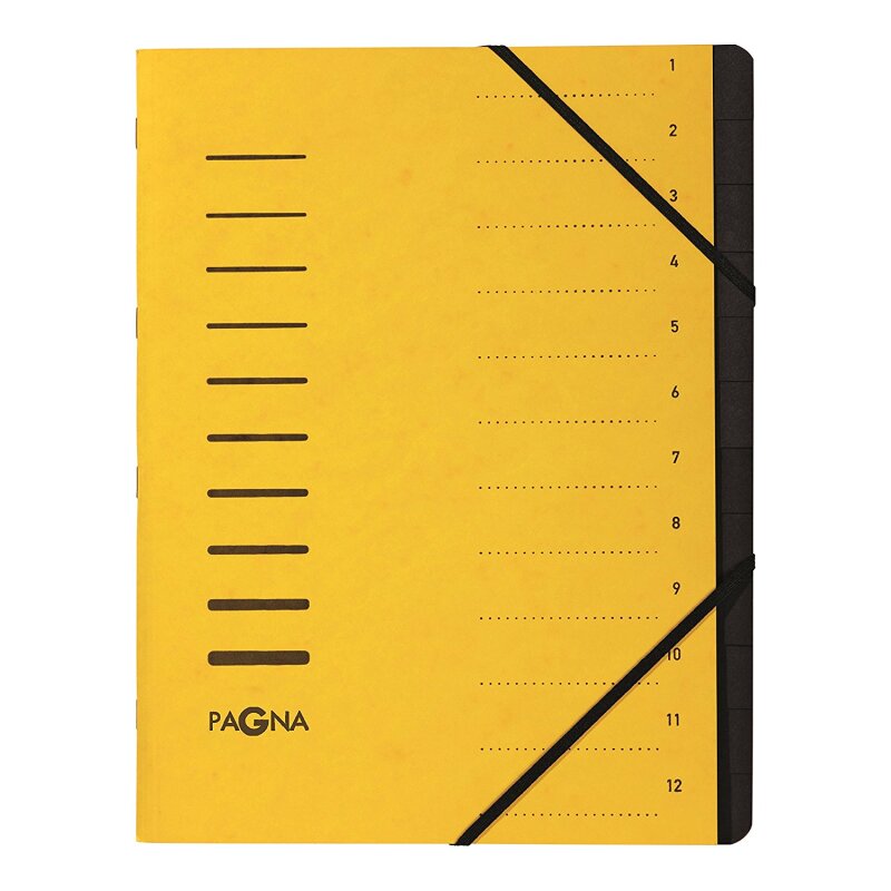 PAGNA Ordnungsmappe Sorting File – 12 Fächer DIN A4, Karton, Grün, Fürs Büro