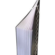 extendos Pultordner DIN A4 1-12 12 Fächer schwarz