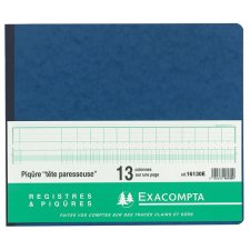 EXACOMPTA Geschäftsbuch mit Kopfleiste 17 Spalten