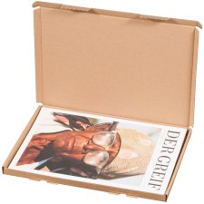 smartboxpro Großbrief-Versandkarton DIN A4 braun