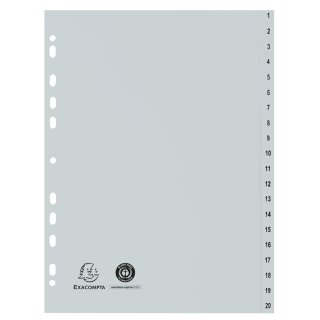 EXACOMPTA Kunststoff-Register 1-20 A4 20-teilig grau