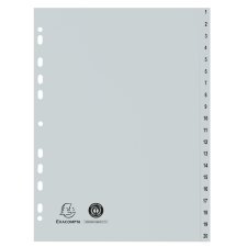 EXACOMPTA Kunststoff-Register 1-20 A4 20-teilig grau